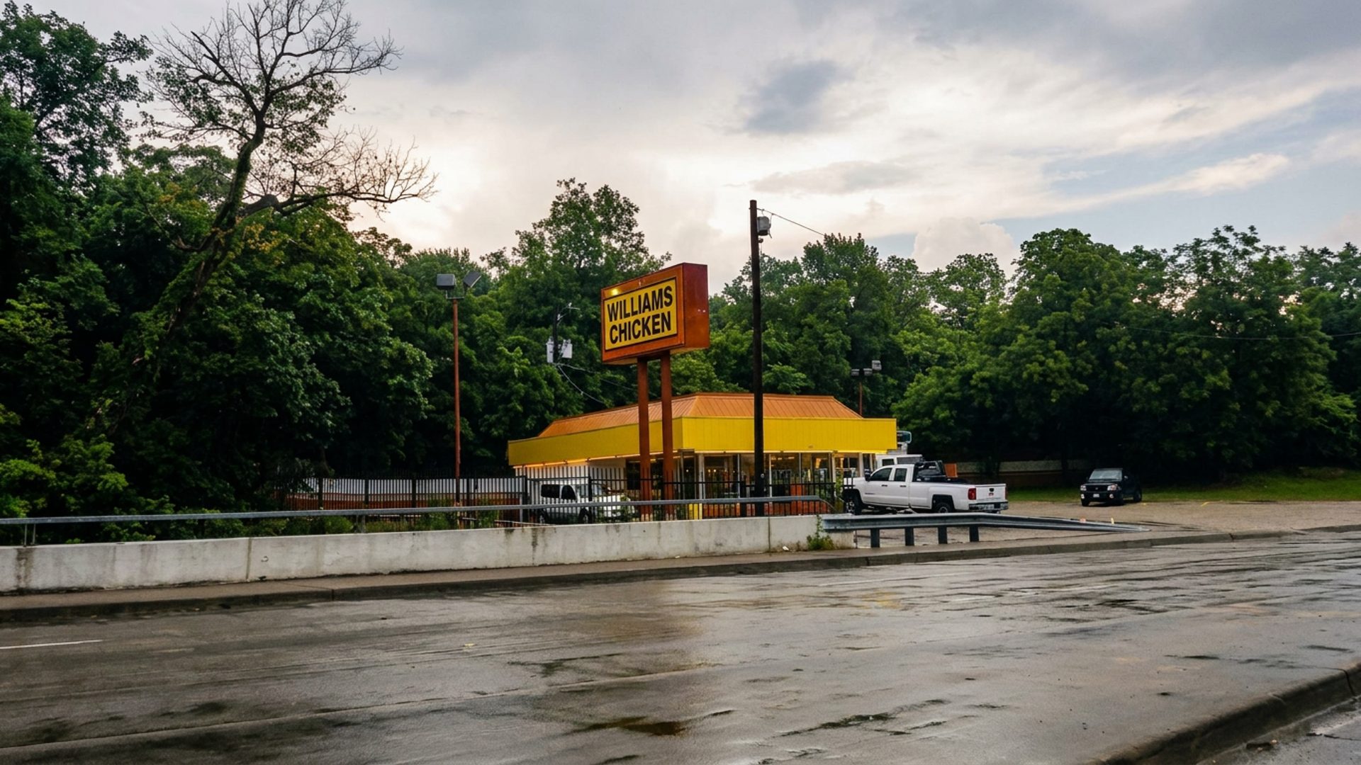 Williams Fried Chicken - South Corinth